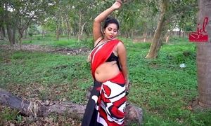 Saree paramour Jiya 04 By JD Rruma Creation