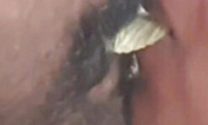 Kissss with Chips