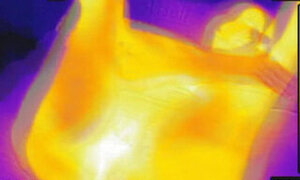 We play with a FLIR thermal imager and he blows a HOT load on my tits after BJ