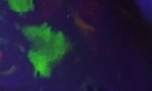 'Horny Housewife Gets Fucked and Plays in Glow in the Dark Paint'