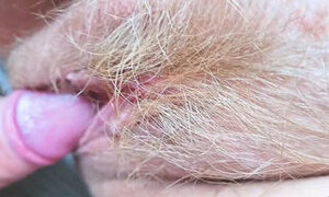 Lover Slides Tiny Cock into my Hungry Hairy Married Pussy (homemade natural bigtits mature cheat bbw_wife)