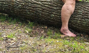 Pussy Pleasing Tree Log Squirting Fat Hog