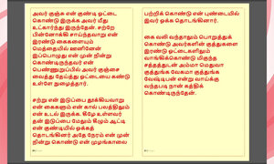 Kanmani's Birthday Gift - Part 3 - A Tamil Audio Sex Story