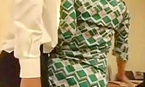 japanese stepmother