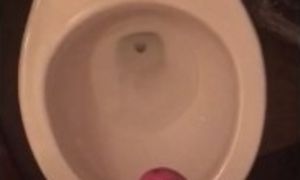 Toilet Nut