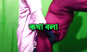 Desi Indian bhabhi ko hotel me meeting sari me full entertainment