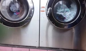 Mature massive butt at the laundromat vpl